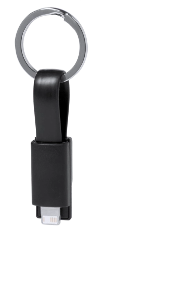 Câble de Charge Holnier