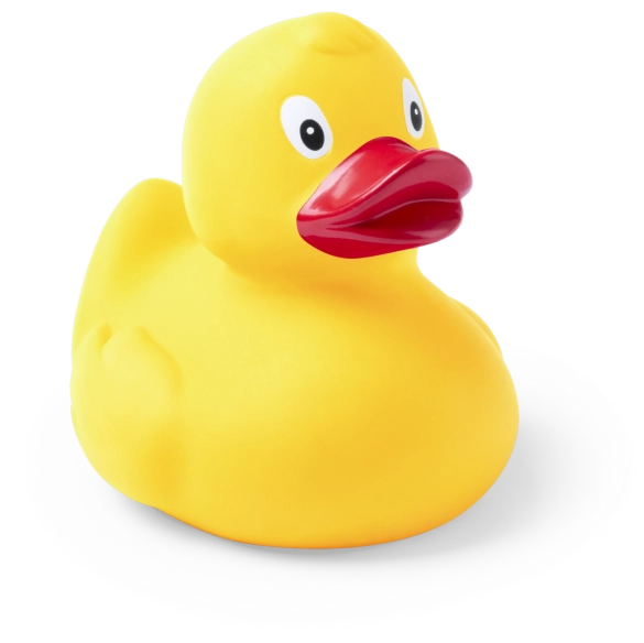 Canard Koldy
