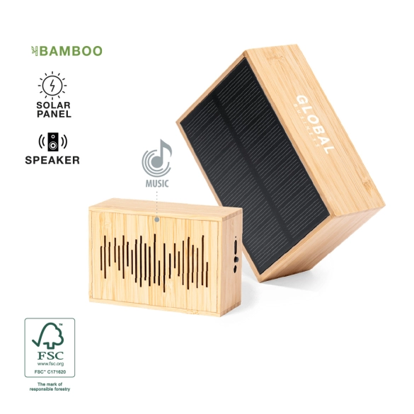 Haut-Parleur Laurens Fsc