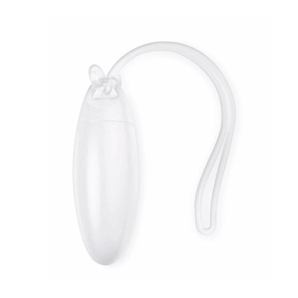 Identificateur Valise Bandel