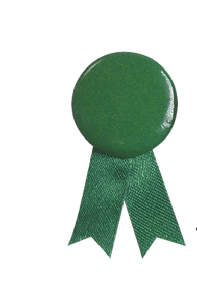 Pin's Ruban Solidario