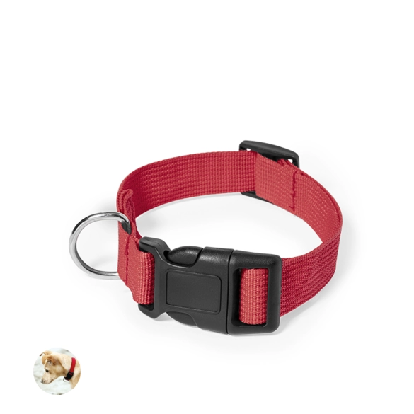Collier Mastif