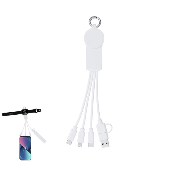 Câble de charge 5 en 1 "Lexia"