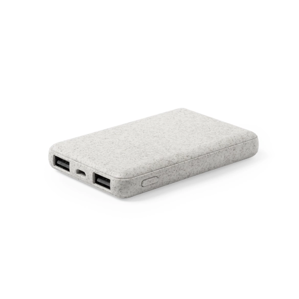 Power Bank Shiden