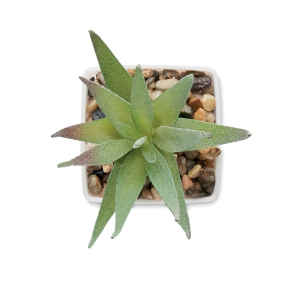 ARTILOE, Mini plante artificielle