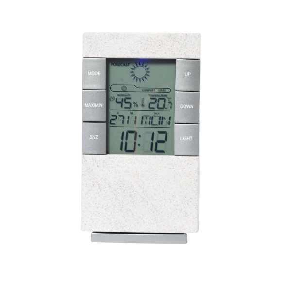 Station Météo Maginly