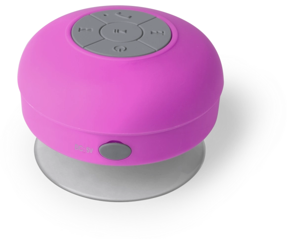 Haut-Parleur Rariax