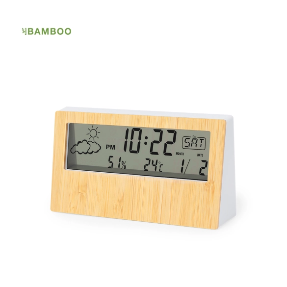 Station Météo Roamer