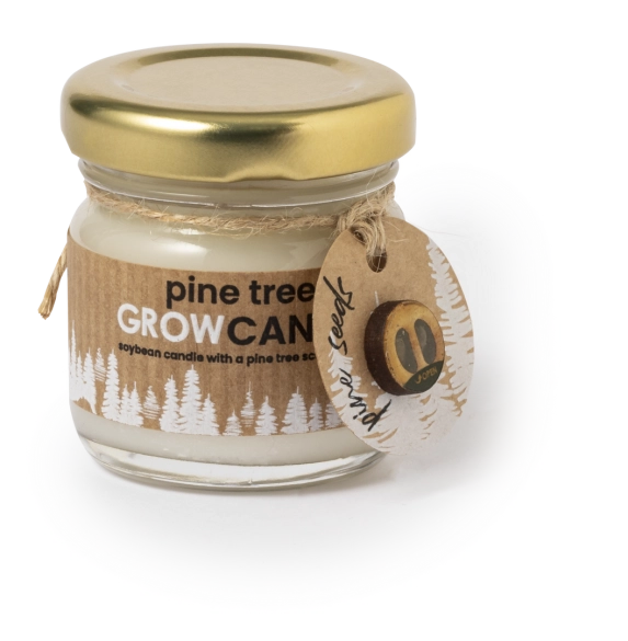 Bougie Aromatique Lisa