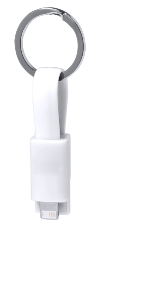 Câble de Charge Holnier