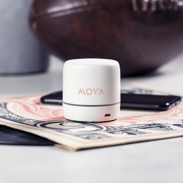 Haut-Parleur Medran RCS