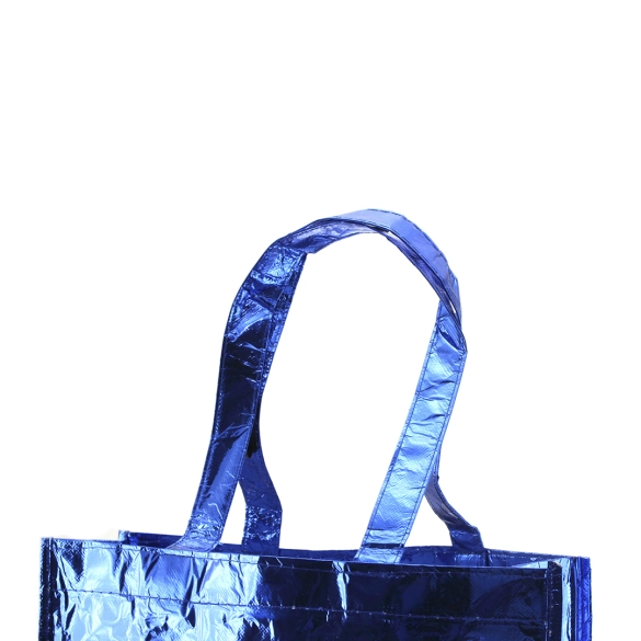 Sac Ides