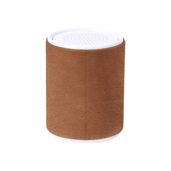 Haut-Parleur Sotep RCS