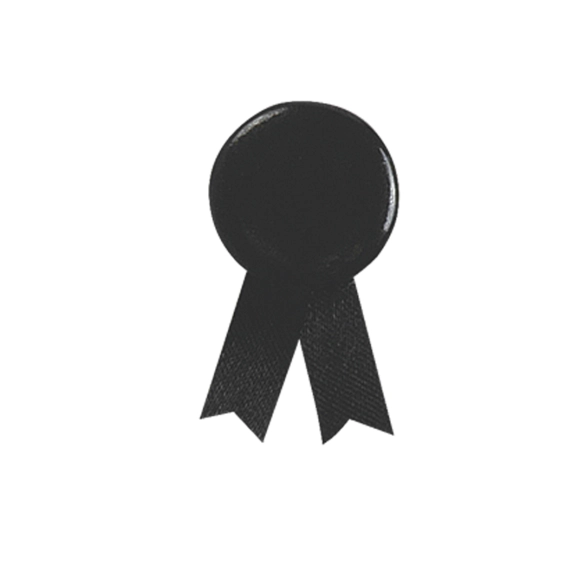 Pin's Ruban Solidario