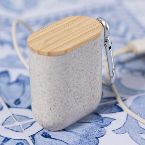 Câble de Charge Brayce