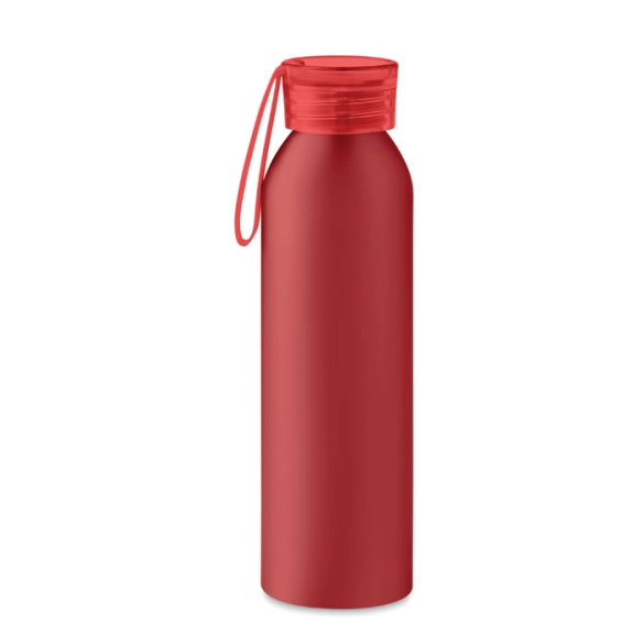 NAPIER, Bouteille en aluminium 600ml