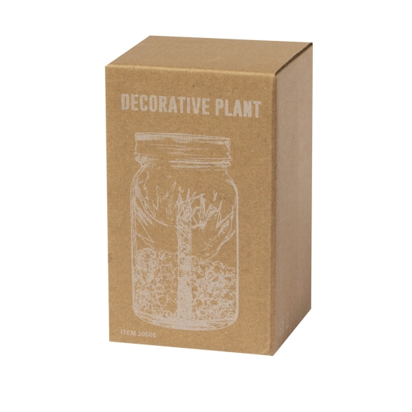 Plante Décorative Kyala