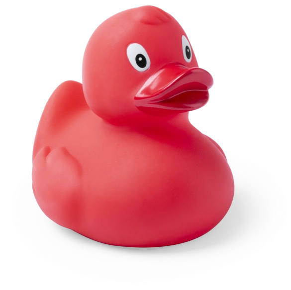 Canard Koldy
