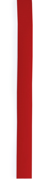 Ruban Chapeau Hicoband