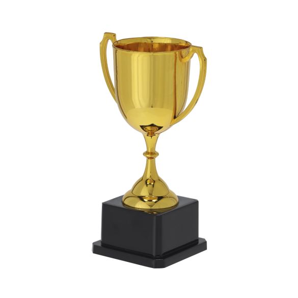 Trophée "Nilmar"